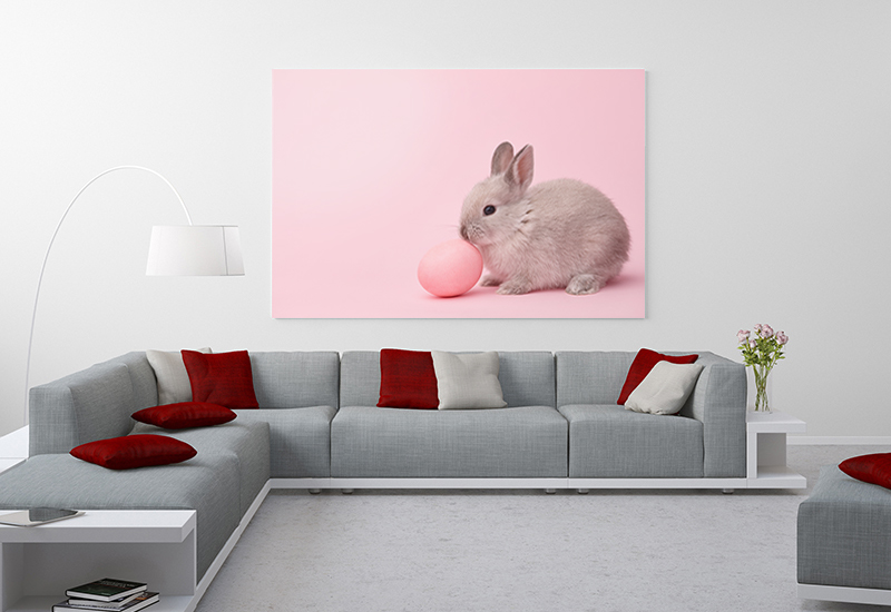 pet photography wall art